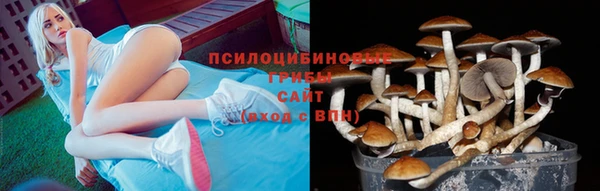 марки lsd Бугульма