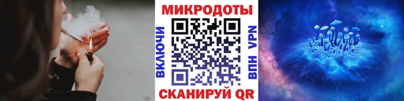Купить где  Вяземский  Галлюциногенные грибы Psilocybe 